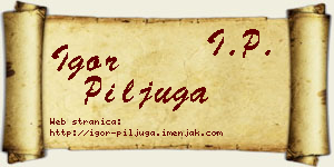 Igor Piljuga vizit kartica